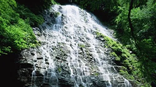 先进高标准